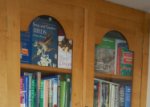 Alcove cupboard and bookshelves